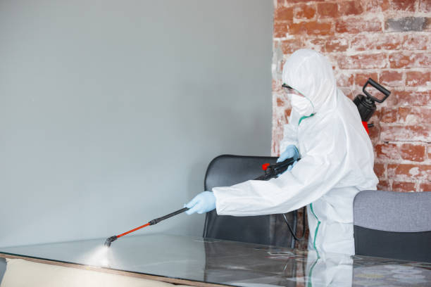 Best Asbestos and Lead Testing During Mold Inspection in USA