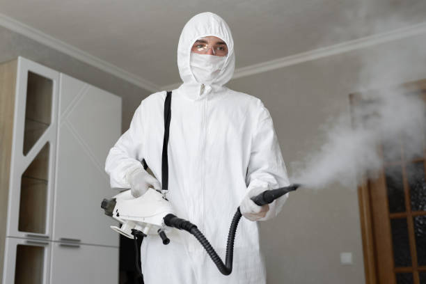 Best Biohazard Mold Removal in USA