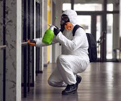 Best Commercial Mold Inspection in USA